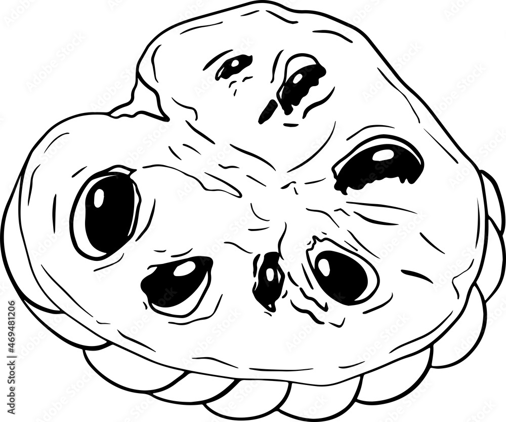 Vector hand drawn set of cherimoya. Sugar apple illustration. Delicious tropical vegetarian objects. Use for restaurant, menu, smoothie bowl, market, store, party decoration, meal. Vector hand drawn set of cherimoya. Sugar apple illustration. Delicious tropical vegetarian objects. Use for restaurant, menu, smoothie bowl, market, store, party decoration, meal.