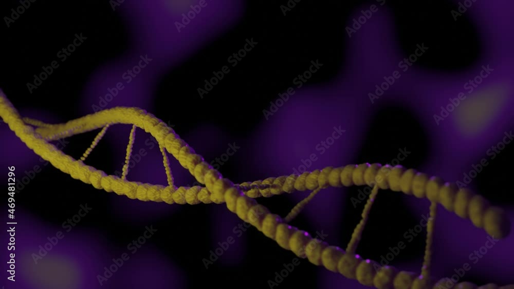 DNA molecule rotation loop endless RNA yellow purple virus model DNA molecule rotation loop endless RNA yellow purple virus model