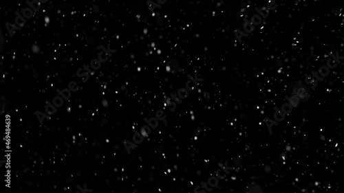 slow falling snow on the black backgrounds
 photo