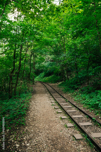 old railway in a nice green forest