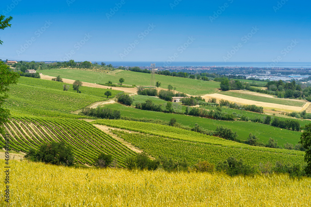 Rural landscape along the road from Fano to Mondavio, Marche