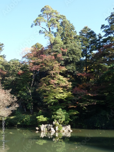 Fototapeta Naklejka Na Ścianę i Meble -  日本庭園の池と緑に混じる紅葉