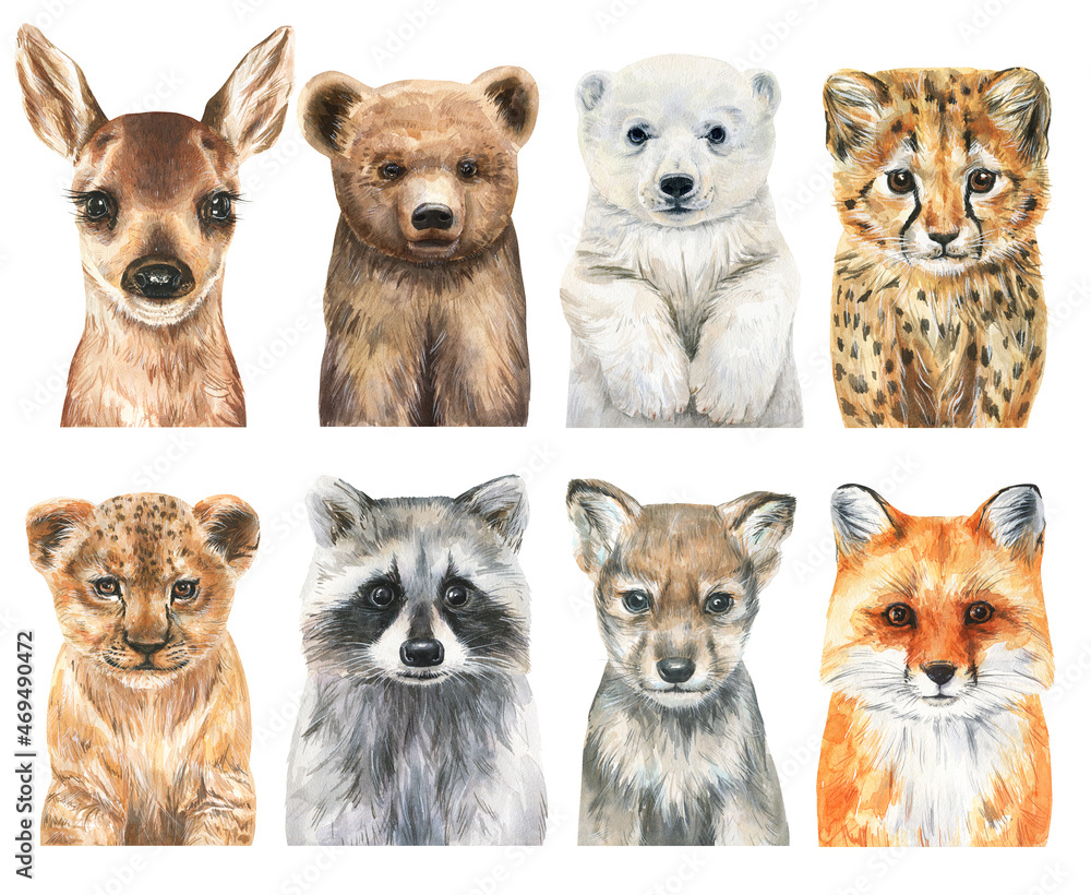 Watercolor baby animals set. Animal cub illustration. Lion, bear, fox and deer