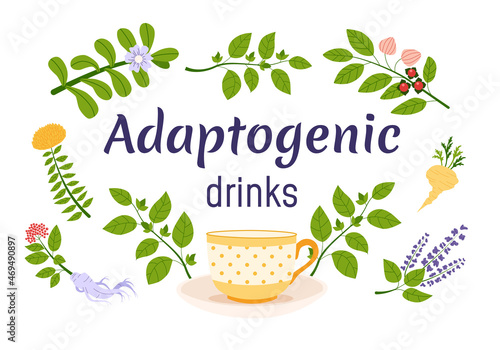 Adaptogen drinks concept. Set of ayurvedic herbs and cup. Flat vector.