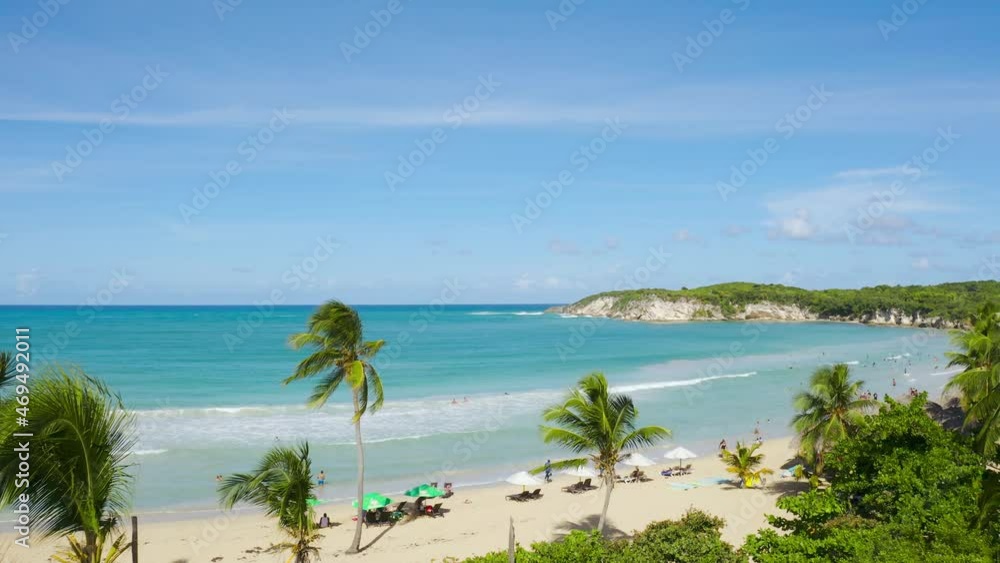 Beautiful slender palm trees on the sandy shore of the blue sea. Transparent white clouds in the blue sky. Beautiful slender palm trees on the sandy shore of the blue sea. Transparent white clouds in the blue sky.