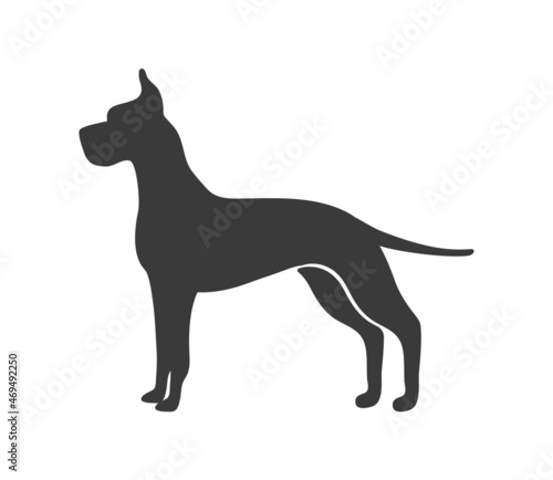 Great dane silhouette. Swiss dog pinscher group, vector icon