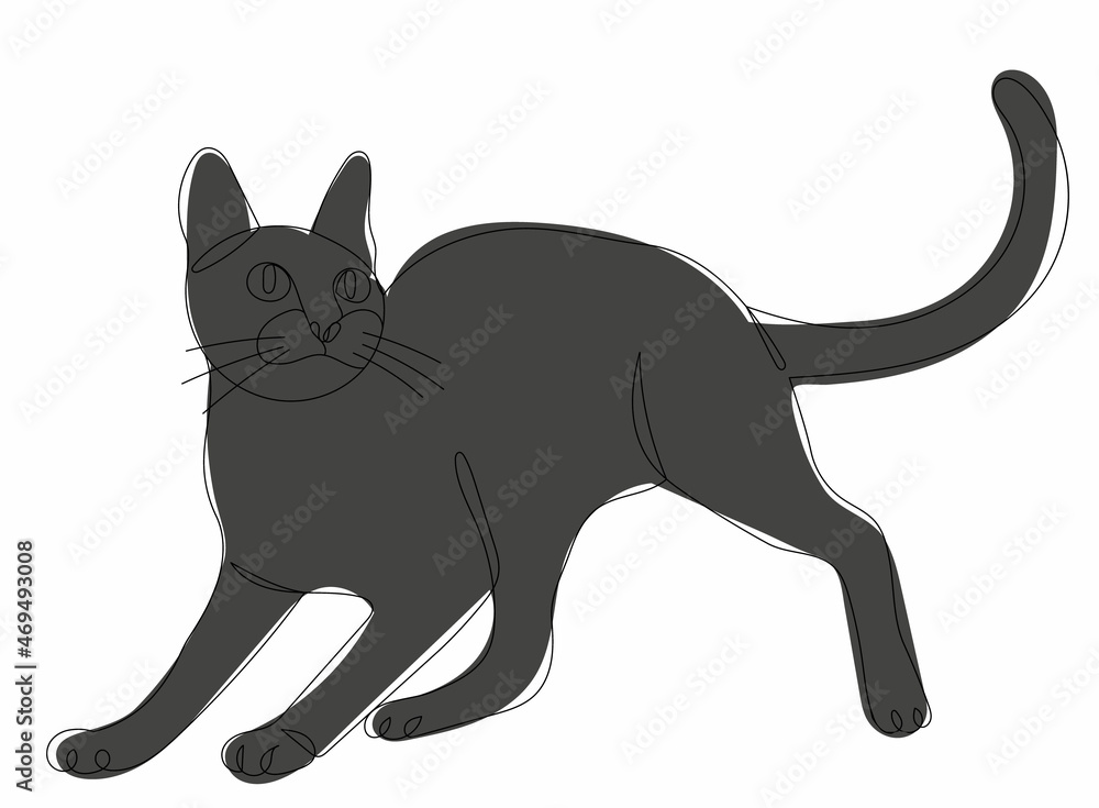cat continuous line drawing vector, isolated