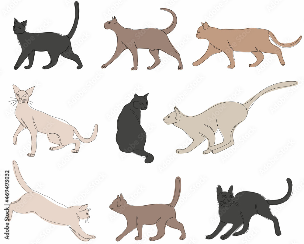 cat set continuous line drawing vector, isolated