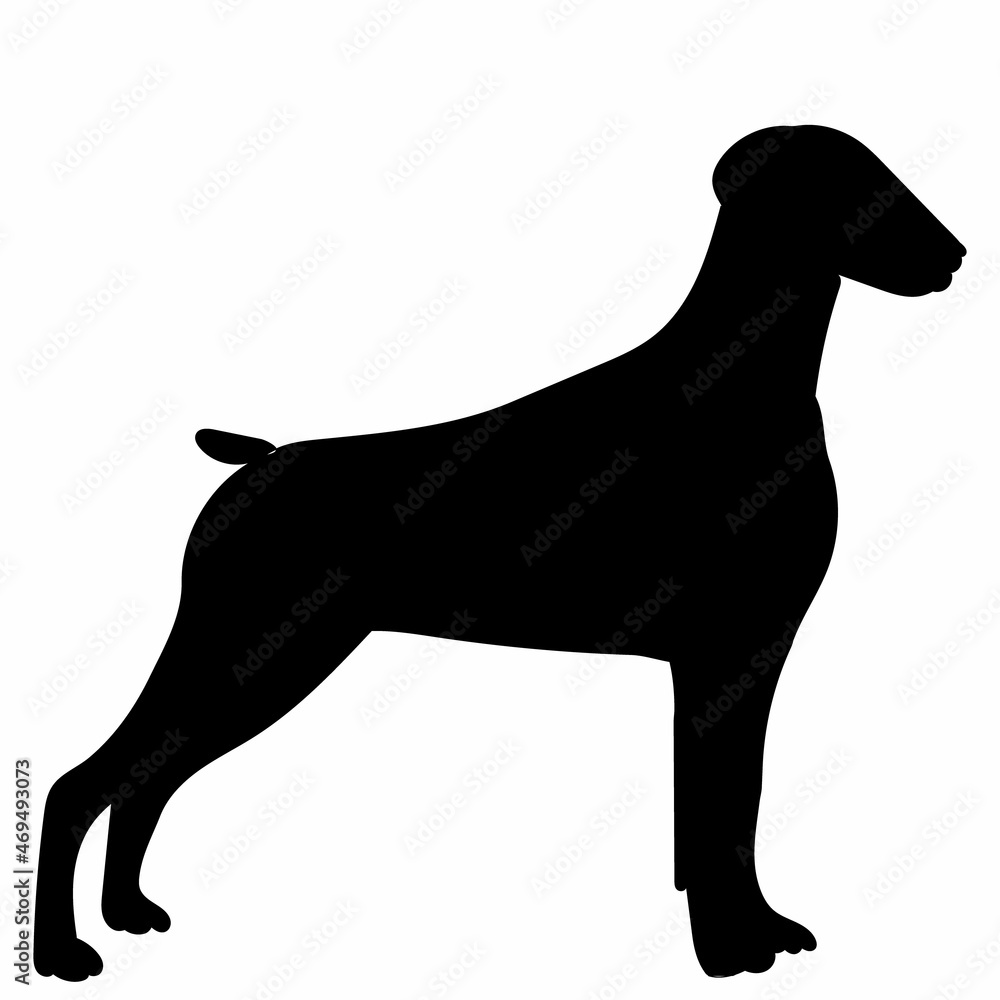 dog on white background black silhouette vector, isolated