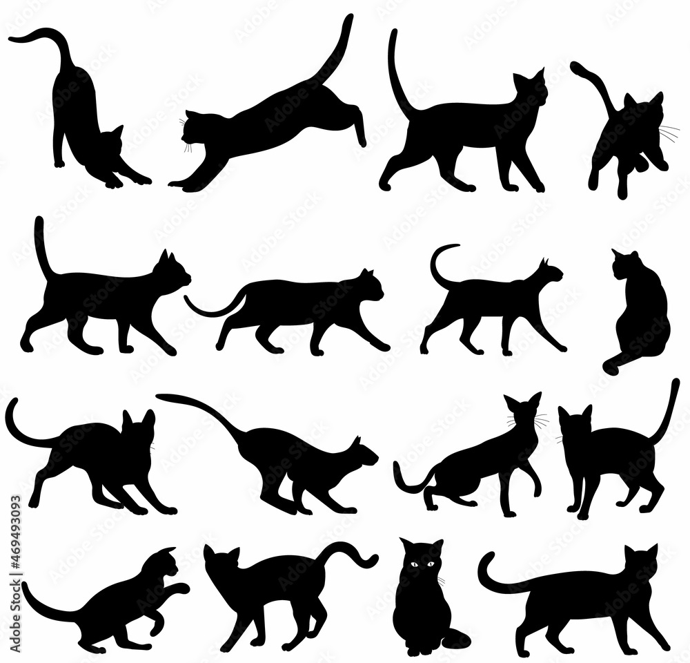 set of cats black silhouette vector, isolated