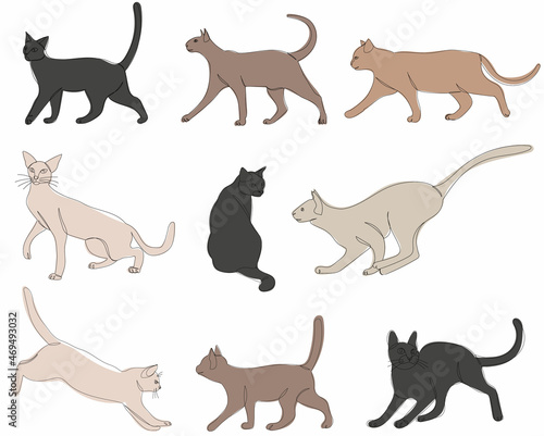 cat set continuous line drawing vector  isolated