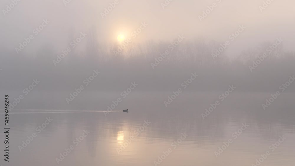 fog over the river a fisherman in a boat at sunset in November fog over the river a fisherman in a boat at sunset in November