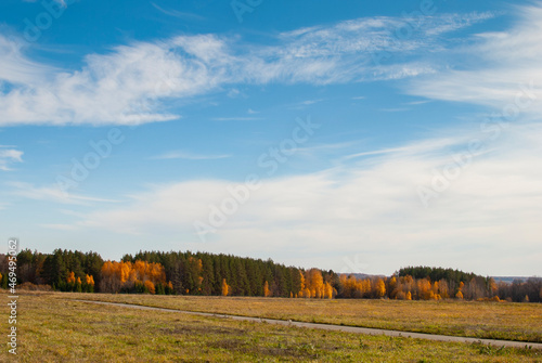 autumn landscape with trees and blue sky