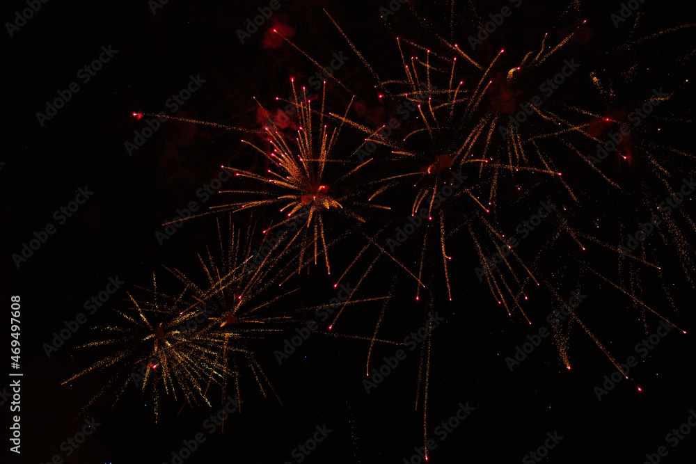 Obraz premium firework on the black sky.