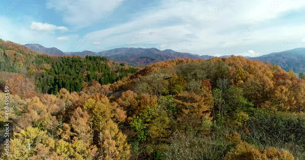 Aerial:Autumn mountain with colored leaves. Fly in Aerial:Autumn mountain with colored leaves. Fly in