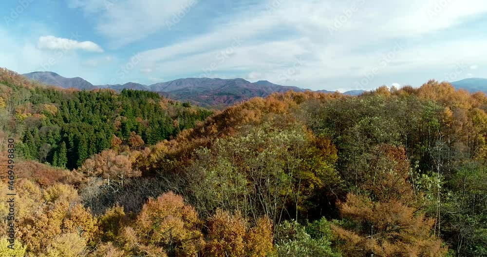 Aerial:Autumn mountain with colored leaves. Fly back Aerial:Autumn mountain with colored leaves. Fly back