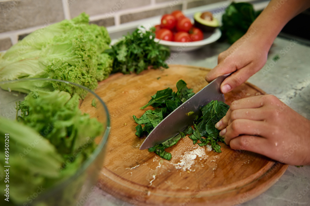 Cooking. Food and concept of veganism, vigor and healthy eating - close up of female hand cutting vegetables and spinach leaves for salad Cooking. Food and concept of veganism, vigor and healthy eating - close up of female hand cutting vegetables and spinach leaves for salad