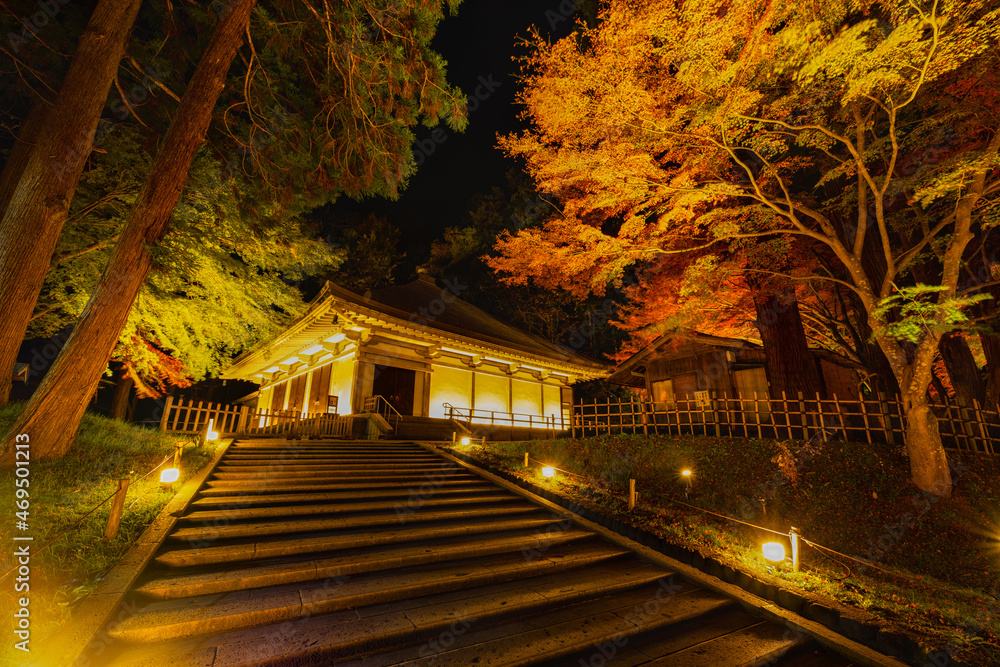 Fototapeta premium 日本のお寺 中尊寺ライトアップされた紅葉の金色堂覆堂