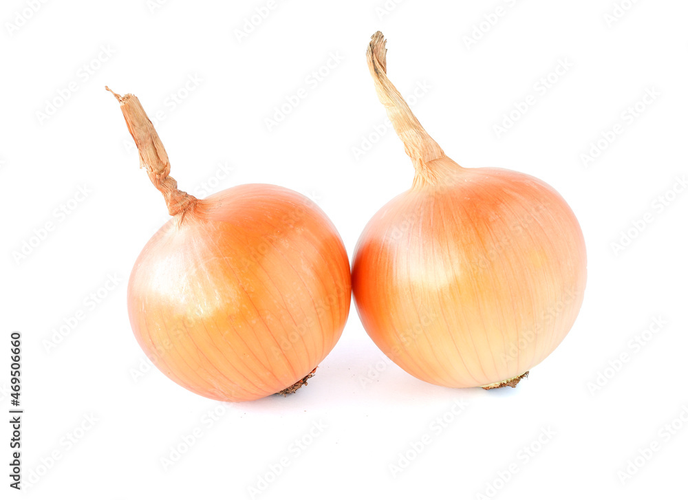 Fototapeta premium fresh onions isolated on a white background