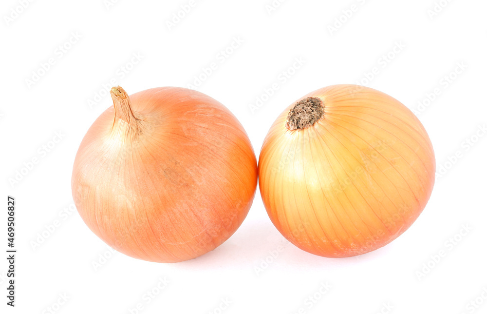 Fototapeta premium fresh onions isolated on a white background