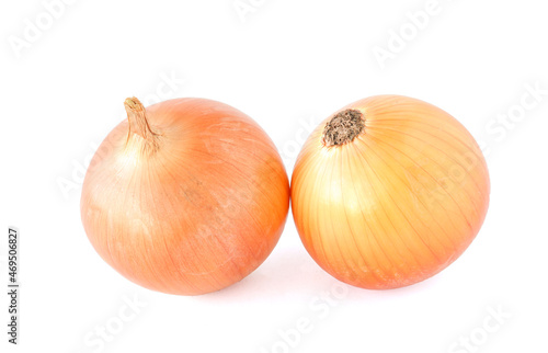 fresh onions isolated on a white background
