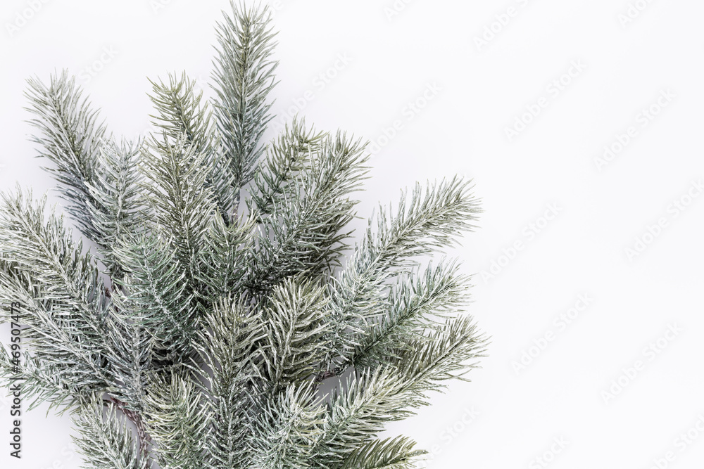 Christmas border  fir branches on a white background