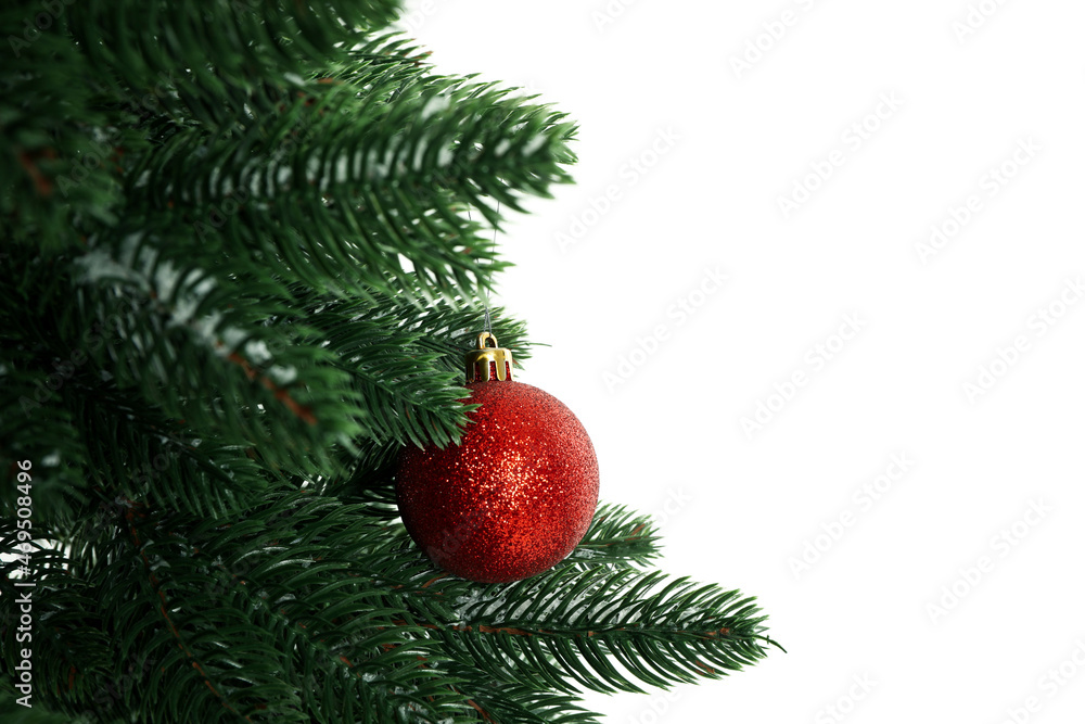 Composition with christmas tree, isolated on white background Composition with christmas tree, isolated on white background