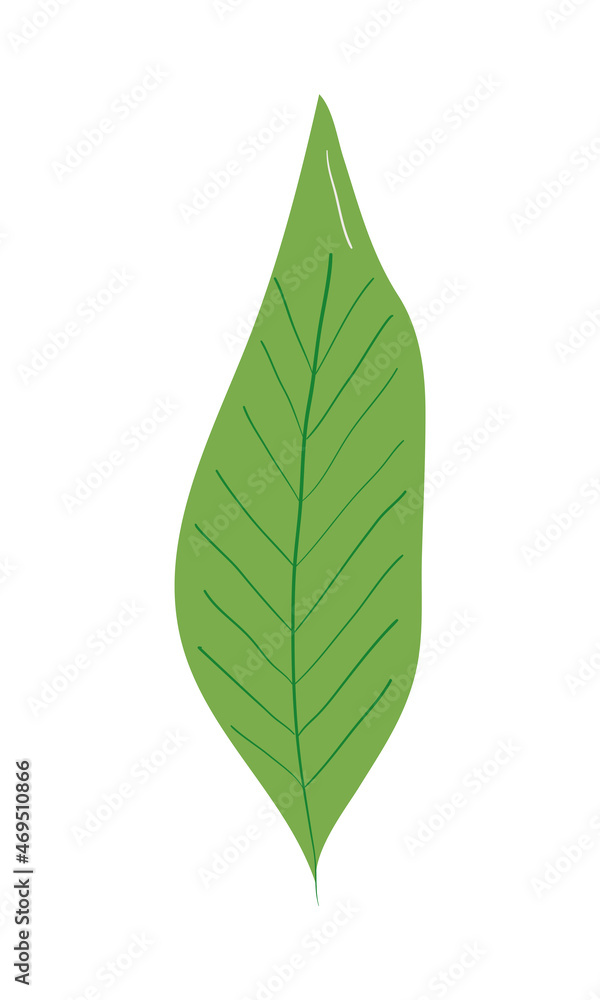 green leaf icon green leaf icon
