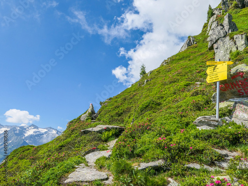 Berliner Höhenweg - Zillertaler Alpen photo