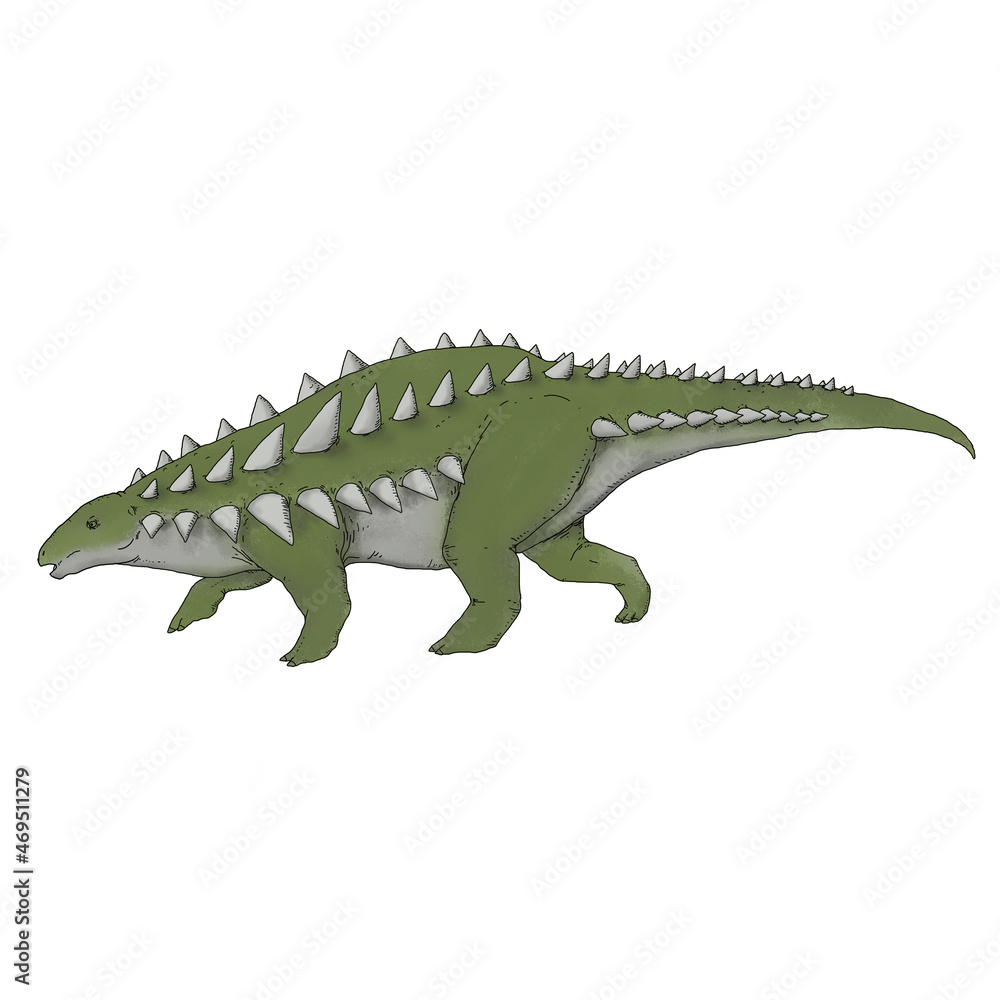 Obraz premium Realistic illustration of a dinosaur of the acanthopolis species