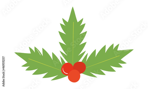 mistletoe icon image