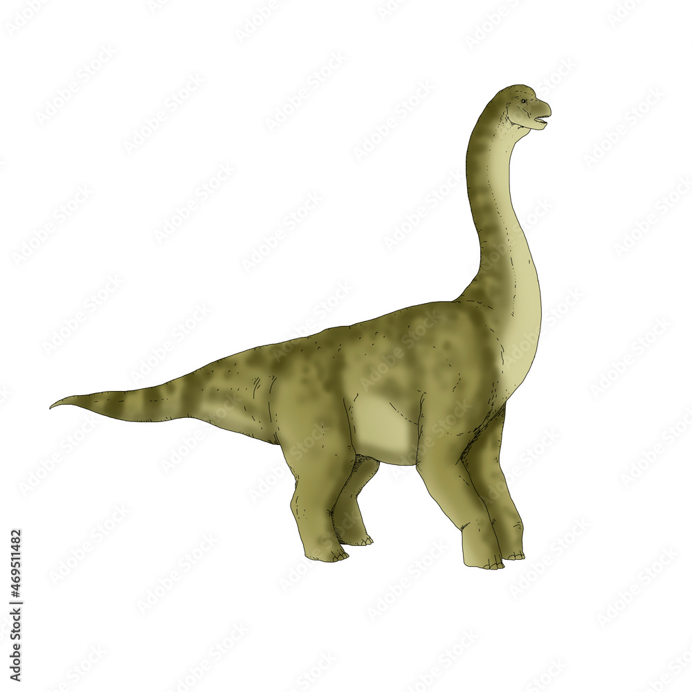 Realistic illustration of a dinosaur of the astrodon species Realistic illustration of a dinosaur of the astrodon species