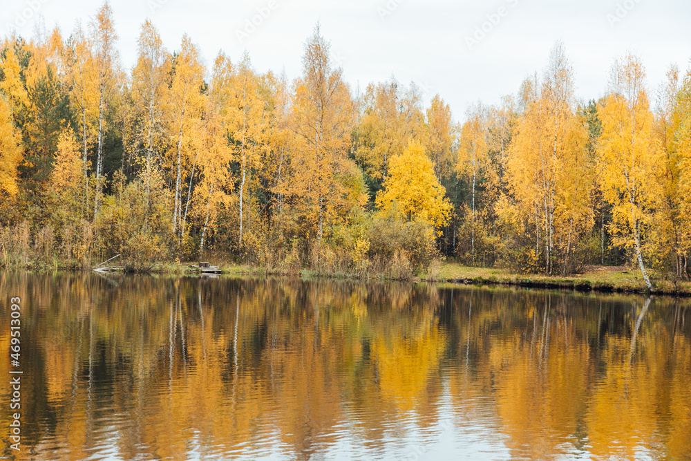 beautiful lake and yellowed autumn forest landscape nature travel