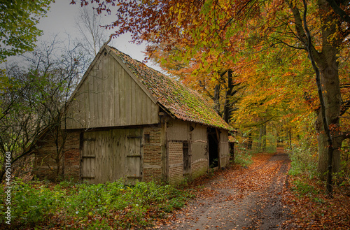 old farm in a autumn forest in holland