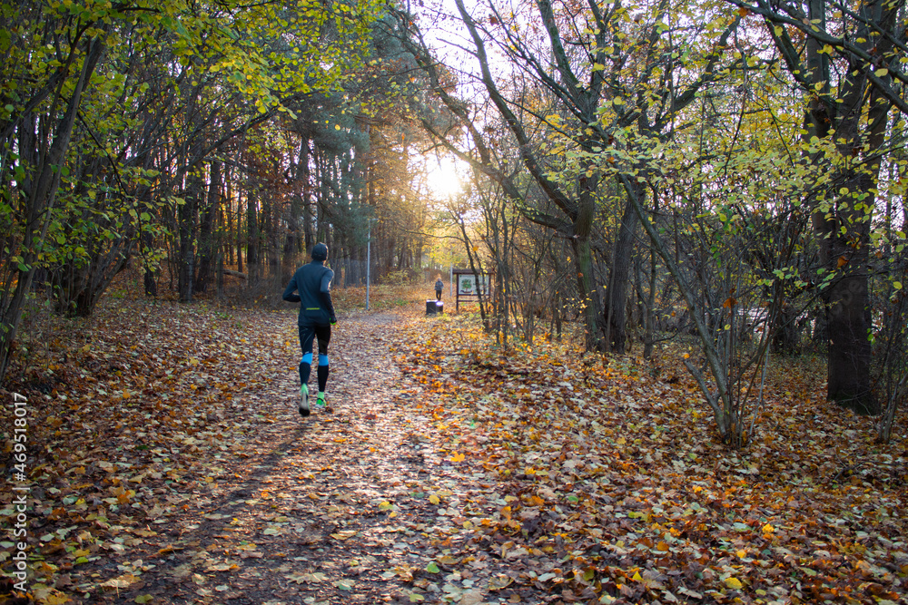 A walk in the forest in autumn A walk in the forest in autumn