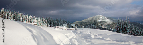 Snowy road leading to village in winter mountains on background pine coniferous forest and sky, Carpathians, Ukraine