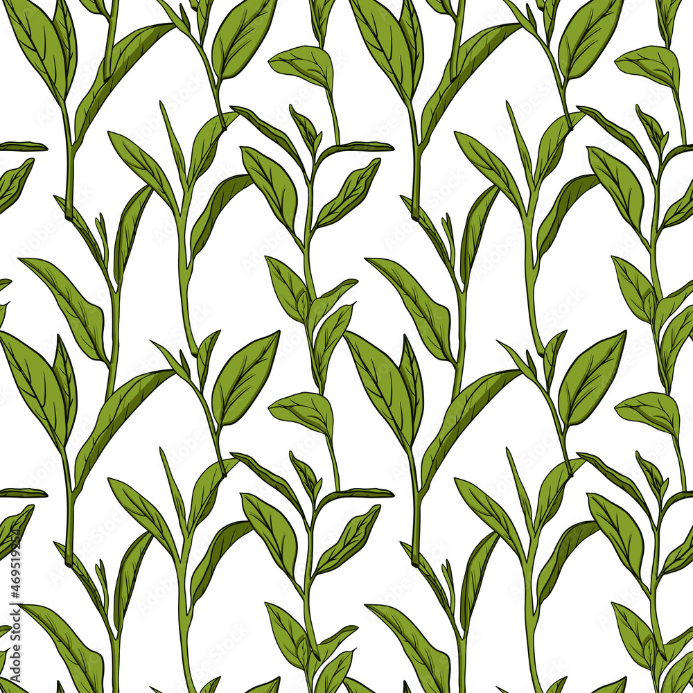 Hand drawn tea seamless pattern in graphic style, vector illustration.