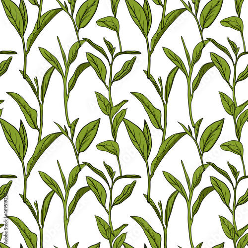 Hand drawn tea seamless pattern in graphic style  vector illustration.