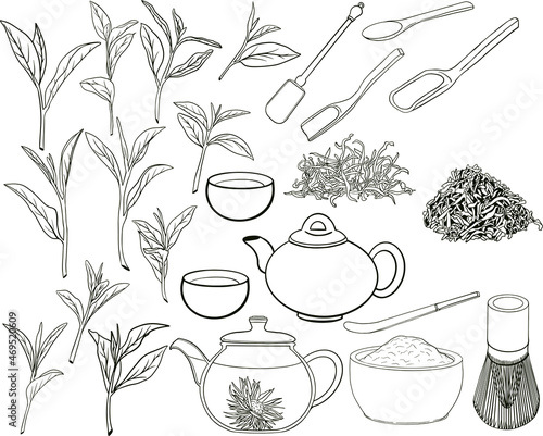 Tea collection elements in graphic style, hand-drawn vector illustration.