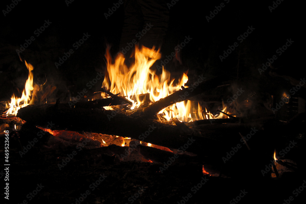 Bonfire in the forest. Fire for field kitchen Bonfire in the forest. Fire for field kitchen