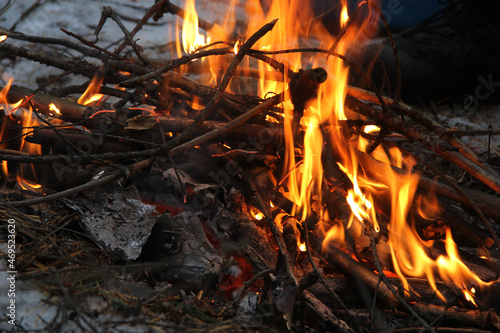 Bonfire in the forest. Fire for field kitchen 