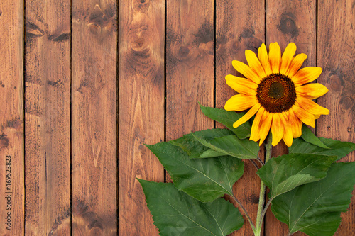 Sunflower on vintage wooden background