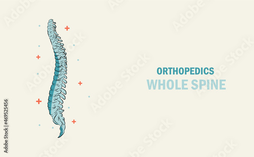 Orthopedics treatment of the bone whole spine. Abstract traumatology and orthopedics. Medical science in the hospital for body joints.