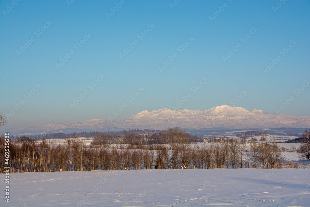 夕映えの雪山と青空　大雪山 
