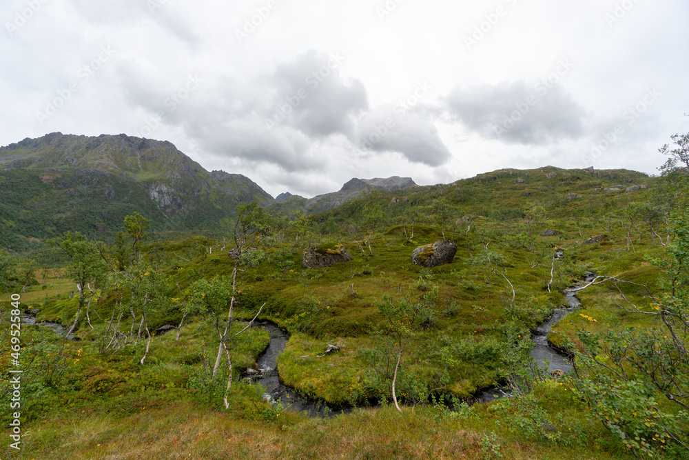 Fototapeta premium Verdant mountains and rocky terrain in the Lofoten Islands, Norway.