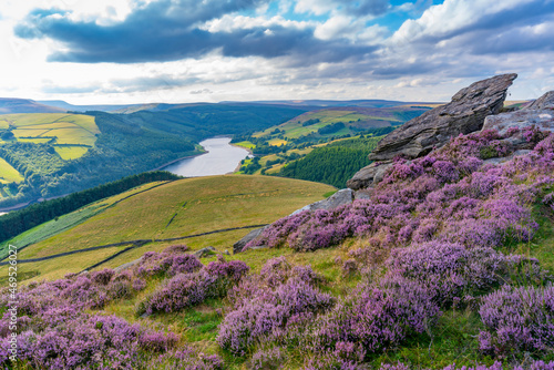 View of Ladybower Reservoir and flowering purple heather on Derwent Edge, Peak District National Park, Derbyshire photo