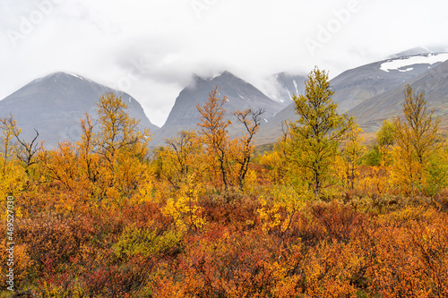 Vibrant fall foliage adorns the landscape near Kiruna, with distant mountains partially veiled by soft clouds, illustrating Sweden's rich seasonal palette.