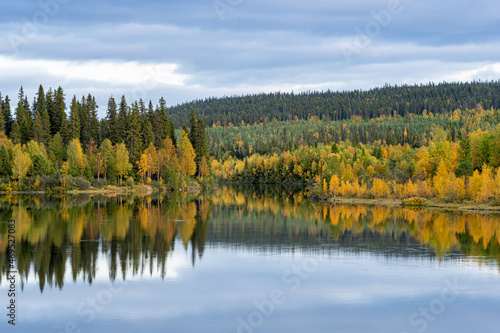 Serene Swedish Lake Amidst Autumnal Forest. A placid lake perfectly framed by an array of trees showcasing their autumn colors, capturing the essence of Swedish beauty