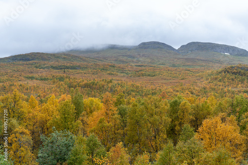 Misty Mountains Over Autumn Fields. Gently rolling hills shrouded in mist, showcasing the vast expanse of Sweden's autumn beauty.