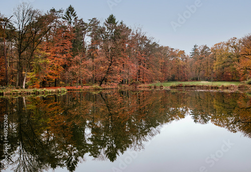 reflection in the water of a autumn colored forest